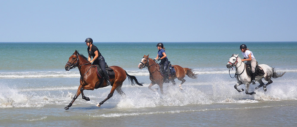 mer plage galop
